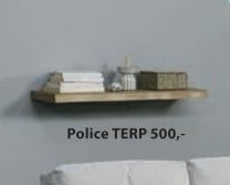Police TERP