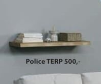 Police TERP