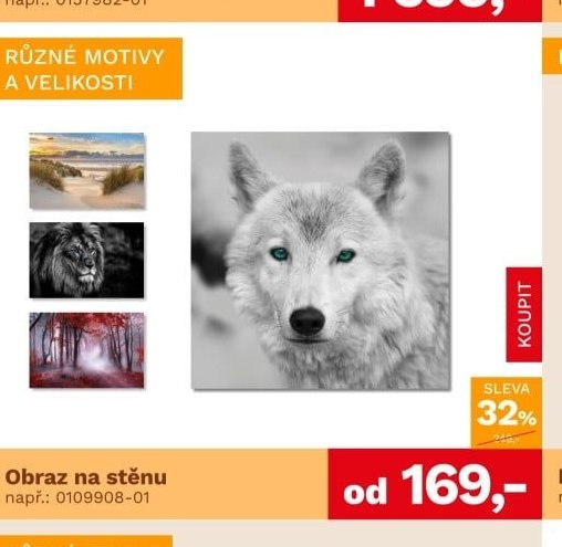Obraz na stěnu