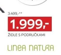 Židle s područkami