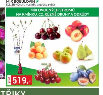 MIX OVOCNÝCH STROMŮ NA KMÍNKU