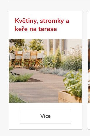 Květiny, stromky a keře na terase
