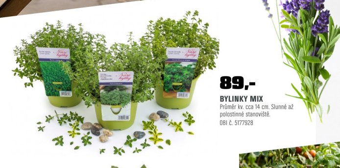 BYLINKY MIX