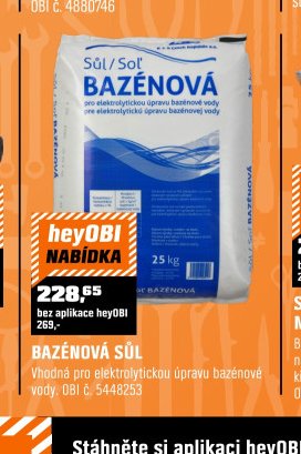 BAZÉNOVÁ SŮL