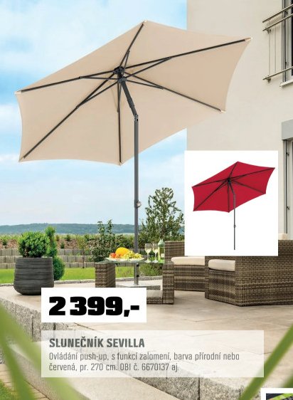 SLUNEČNÍK SEVILLA