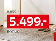 Botník
