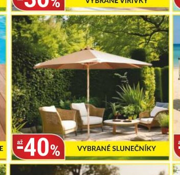 VYBRANÉ SLUNEČNÍKY