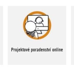Projektové poradenství online
