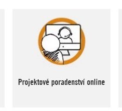 Projektové poradenství online