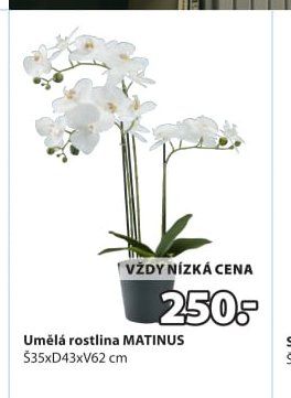Umělá rostlina MATINUS